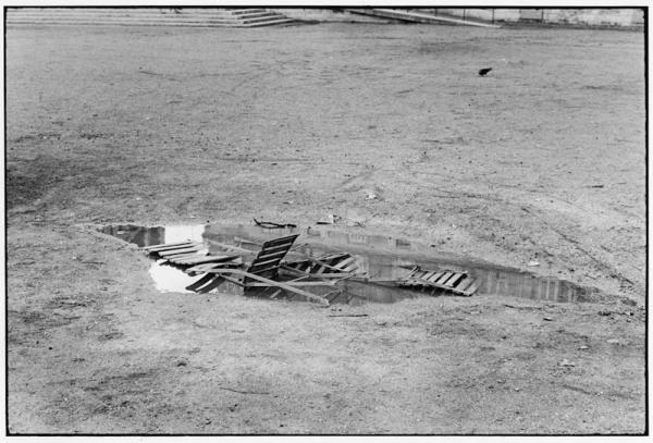 Paris, Jardin des Tuileries by Elliott Erwitt